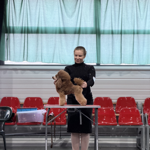 Sharmy Lovely Diabolic Harw